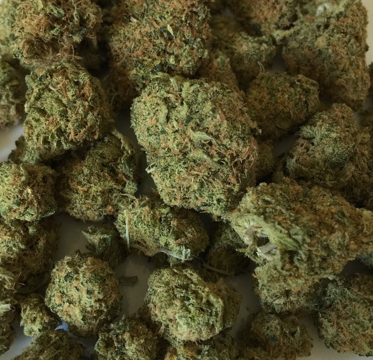 Best Universal Cannabis Strains