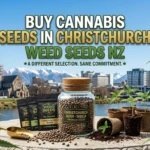 Buy Cannabis Seeds Christchurch